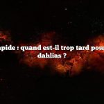 Réponse rapide : quand est-il trop tard pour pincer les dahlias ?